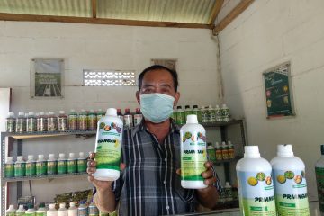 Bisnis Menjanjikan Pupuk Organik Kelompok Tani Saluyu