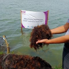 Omzet Capai Rp6 Miliar, Produk Rumput Laut Mitra Binaan Pertamina Field Tambun Banjir Peminat