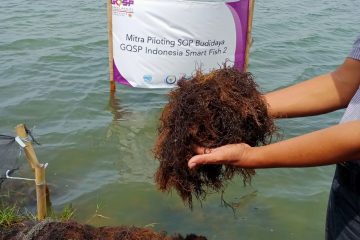 Omzet Capai Rp6 Miliar, Produk Rumput Laut Mitra Binaan Pertamina Field Tambun Banjir Peminat