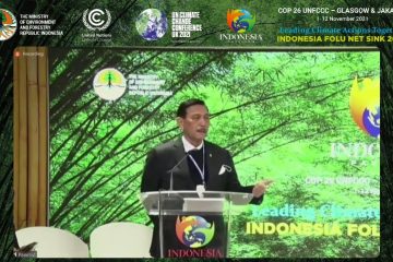 Perpres Nilai Ekonomi Karbon Dukung Pencapaian NDC Indonesia