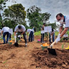 Genjot EBT, PJB Tanam 3,2 Juta Pohon