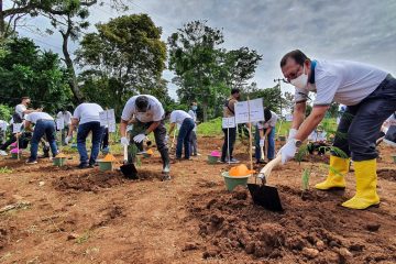 Genjot EBT, PJB Tanam 3,2 Juta Pohon