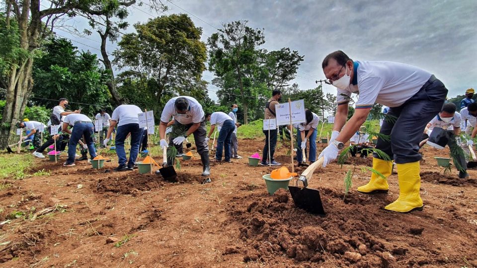 Genjot EBT, PJB Tanam 3,2 Juta Pohon