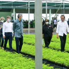 Serius Tangani Perubahan Iklim, Jokowi Minta Perusahaan Tambang dan Kelapa Sawit Siapkan Pusat Persemaian