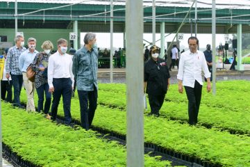 Serius Tangani Perubahan Iklim, Jokowi Minta Perusahaan Tambang dan Kelapa Sawit Siapkan Pusat Persemaian