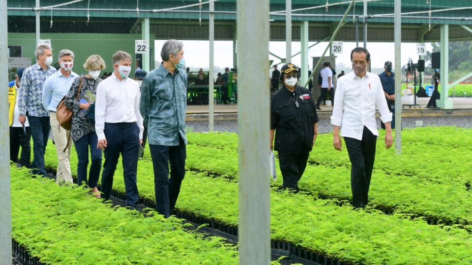 Serius Tangani Perubahan Iklim, Jokowi Minta Perusahaan Tambang dan Kelapa Sawit Siapkan Pusat Persemaian