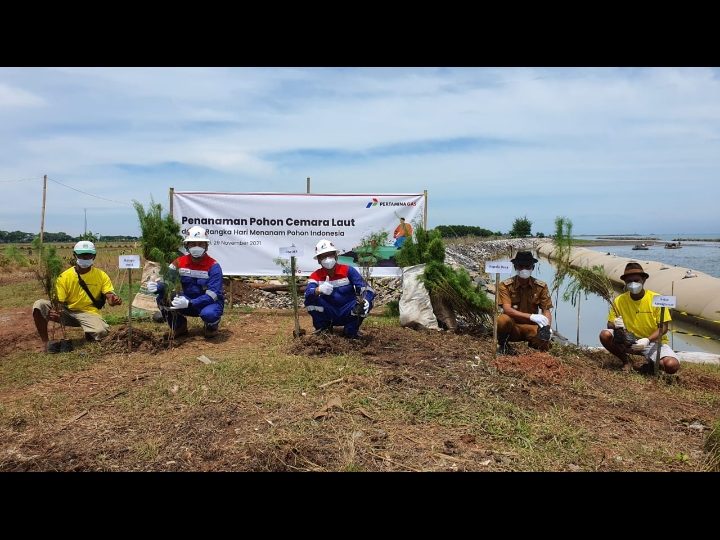 Cegah Abrasi, Pertagas Tanam 200 Cemara Laut di Pantai Utara Jawa