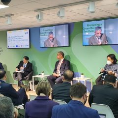 Menteri ESDM: Butuh Green Finance untuk Percepat Implementasi EBT