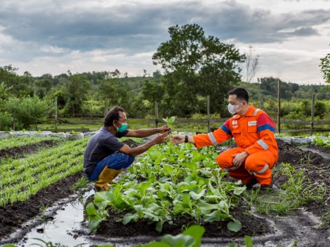 SKK Migas : PHM Model Positif Pemberdayaan Masyarakat dan Lingkungan di Wilayah Operasi