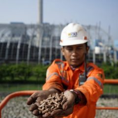 Co-firing Biomassa untuk PLTU, Inisiatif Jitu PLN Kejar Bauran EBT