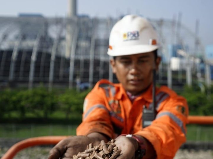 Co-firing Biomassa untuk PLTU, Inisiatif Jitu PLN Kejar Bauran EBT