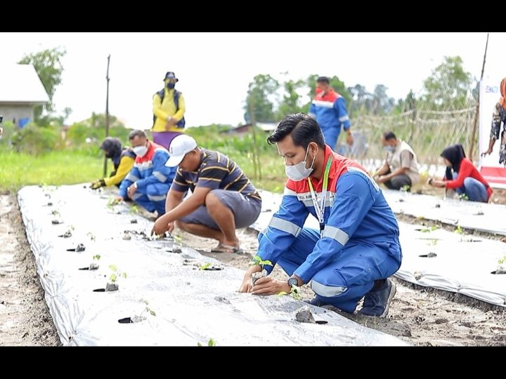 Pertagas ODA Inisiasi Program  Kemandirian Pangan di Dumai