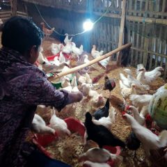 Inovasi “Garasi Organik” Mitra Binaan Pertamina Field Subang Beri Banyak Manfaat bagi Peternak