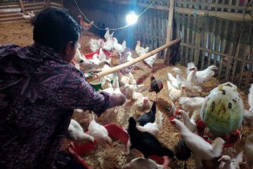 Inovasi “Garasi Organik” Mitra Binaan Pertamina Field Subang Beri Banyak Manfaat bagi Peternak