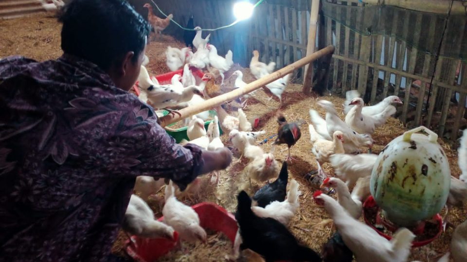 Inovasi “Garasi Organik” Mitra Binaan Pertamina Field Subang Beri Banyak Manfaat bagi Peternak