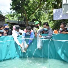 Sub Holding Gas Pertamina Dampingi Masyarakat Langkat Budidayakan Lele