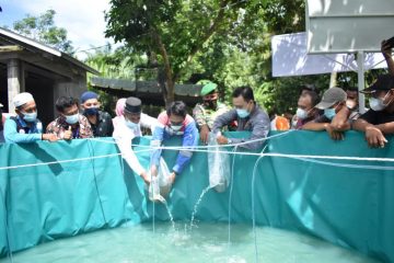 Sub Holding Gas Pertamina Dampingi Masyarakat Langkat Budidayakan Lele