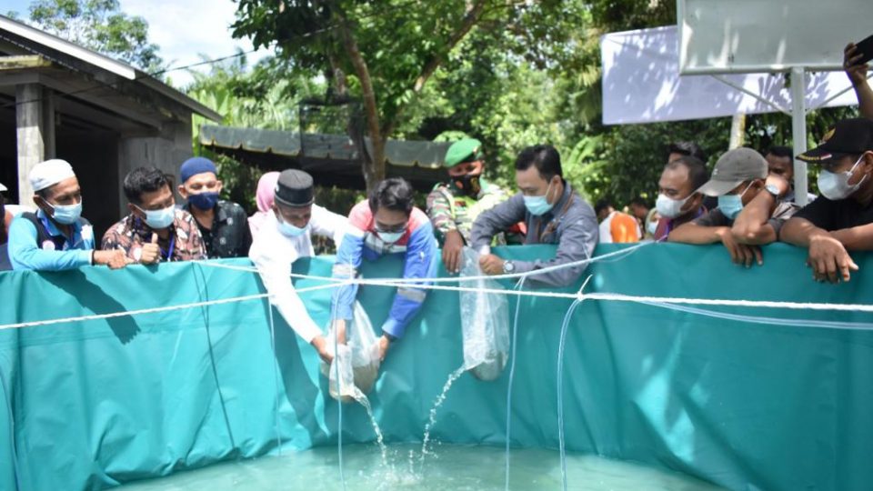 Sub Holding Gas Pertamina Dampingi Masyarakat Langkat Budidayakan Lele