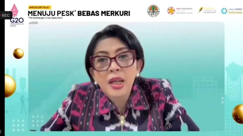 Penggunaan Merkuri di Tambang Harus Disudahi
