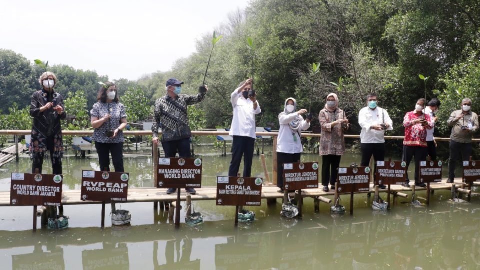 Tekan Emisi Karbon, Pemerintah Gandeng World Bank Rehabilitasi Mangrove