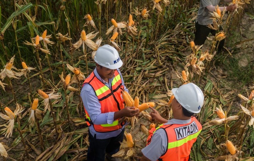 Kegiatan Penambangan Batu Bara Berakhir, Kitadin Fokus Tahapan Pasca Tambang