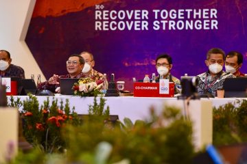 Dekarbonisasi Pembangkit Listrik Jadi Bahasan Utama Pembicaraan Negara G20