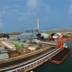 PLN Gandeng Perhutani Amankan Pasokan Biomassa PLTU Rembang dan Pelabuhan Ratu