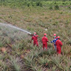 Kilang Pertamina Internasional Borong Penghargaan di Indonesia CSR Excellence Award