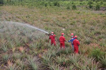 Kilang Pertamina Internasional Borong Penghargaan di Indonesia CSR Excellence Award