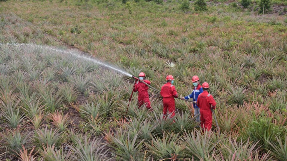 Kilang Pertamina Internasional Borong Penghargaan di Indonesia CSR Excellence Award