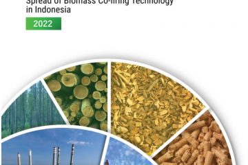 Mitsubishi Power Ajukan Proposal Penerapan Co-firing Biomassa di PLTU Paiton dan Suralaya