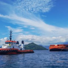 Harga Melambung, Ini Strategi PLN Amankan Pasokan Batu bara untuk Pembangkit