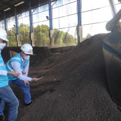 PLN Manfaatkan Limbah Sawit Untuk Bahan Bakar PLTU Berau