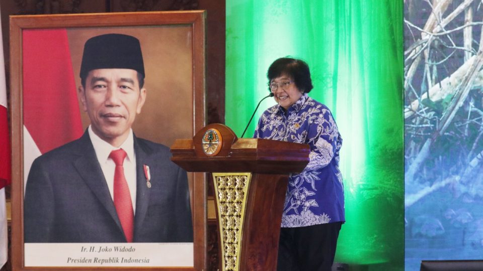 Pemerintah Perkuat Capaian Pengurangan Emisi Melalui Blue Carbon