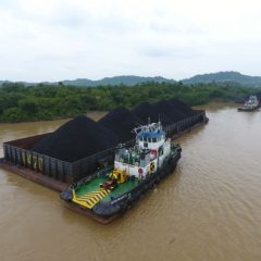 Laba Bersih Capai US$25 juta, Pelita Samudera Shipping Siapkan Diversifikasi Kargo Non Batu Bara