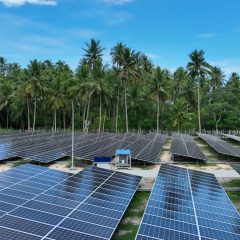 Tidak Lagi Dicicil, PemerintahBakal Lelang Proyek EBT Berskala Jumbo