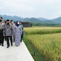 Balkondes PGN Karangrejo Jadi Andalan Topang Pariwisata Super Prioritas Borobudur