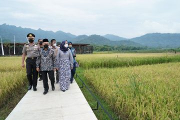 Balkondes PGN Karangrejo Jadi Andalan Topang Pariwisata Super Prioritas Borobudur