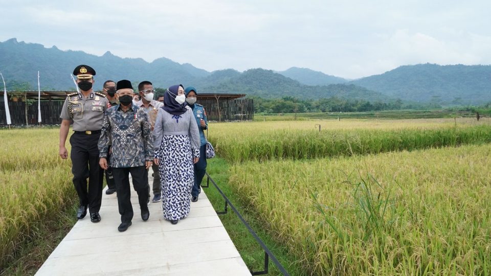 Balkondes PGN Karangrejo Jadi Andalan Topang Pariwisata Super Prioritas Borobudur