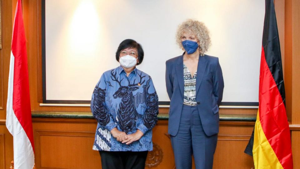 Antisipasi Sektor Energi, KLHK Pacu Kontribusi Sektor Kehutanan dalam Pengendalian Perubahan Iklim