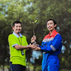 Proteksi Pesisir Pantai Kota Dumai, Pertagas Tanam 2000 Mangrove di Hari Lingkungan Hidup Sedunia