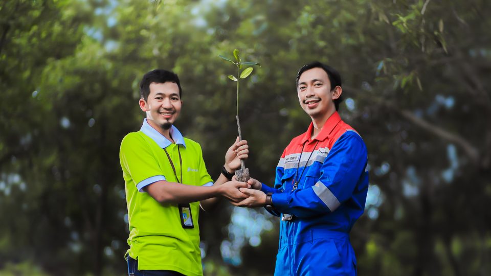 Proteksi Pesisir Pantai Kota Dumai, Pertagas Tanam 2000 Mangrove di Hari Lingkungan Hidup Sedunia