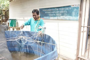 Tidak Hanya Sukses Rebut Hati Masyarakat, Program Kemitraan Pertamina Juga Buat Ekonomi Menggeliat