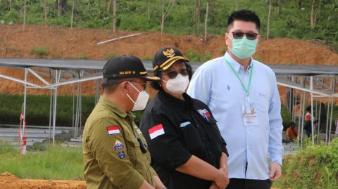 Menteri LHK Siti Nurbaya Bakar, dan Wakil Menteri LHK Alue Dohong, meninjau perkembangan pembangunan Persemaian Mentawir dan memberikan arahan kepada PT Indo tambangraya Megah Tbk yang diwakili Direktur Utamanya, Mulianto. (Foto/Dok/ITM)