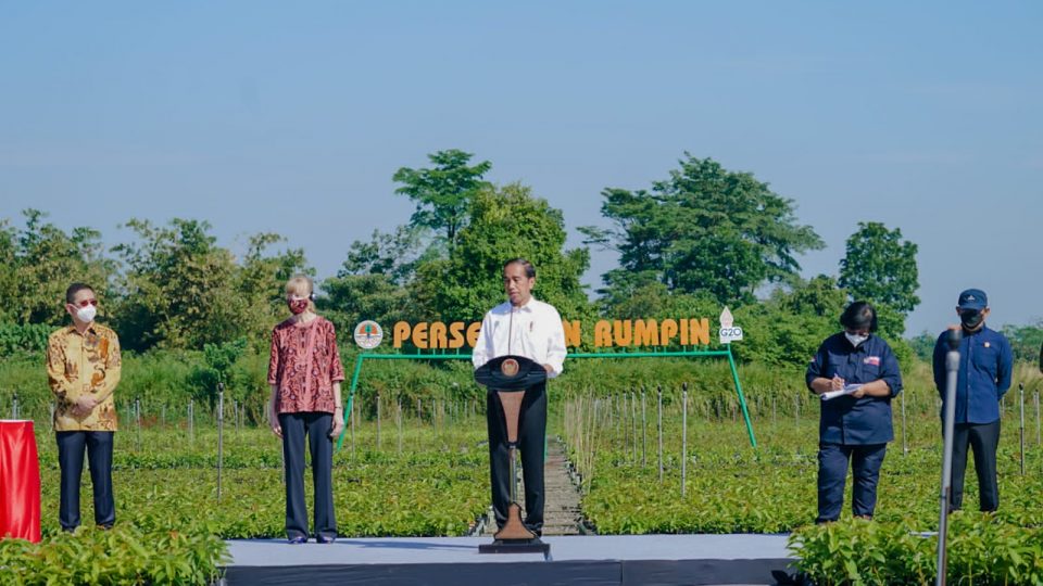 Pembibitan Rumpin dan Agenda Mangrove Langkah Konkret Pengendalian Perubahan Iklim
