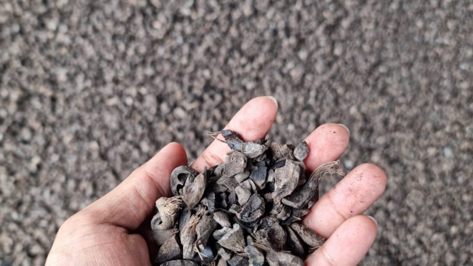 PLN Gunakan Biomassa Sebagai Bahan Bakar PLTU Tembilahan