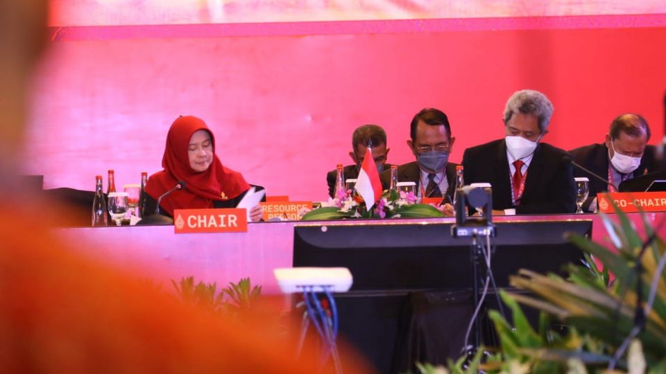 Pertemuan Kedua G20 EDM-CSWG Hasilkan Pre-Zero Draft Ministerial Communique