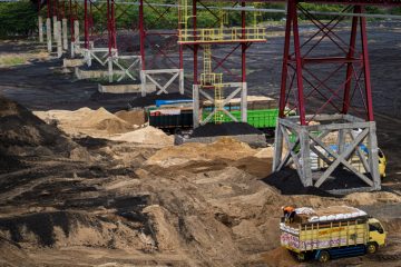 Kebutuhan Biomassa 450 Ribu Ton, PLN Targetkan 35 PLTU Terapkan Co-Firing Tahun 2022