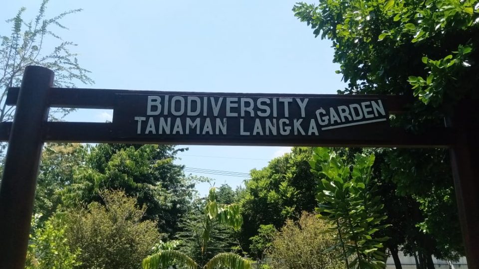 Mitigasi Perubahan Iklim, Paiton Energy Kembangkan Biodiversity Garden Seluas 8.500 m2