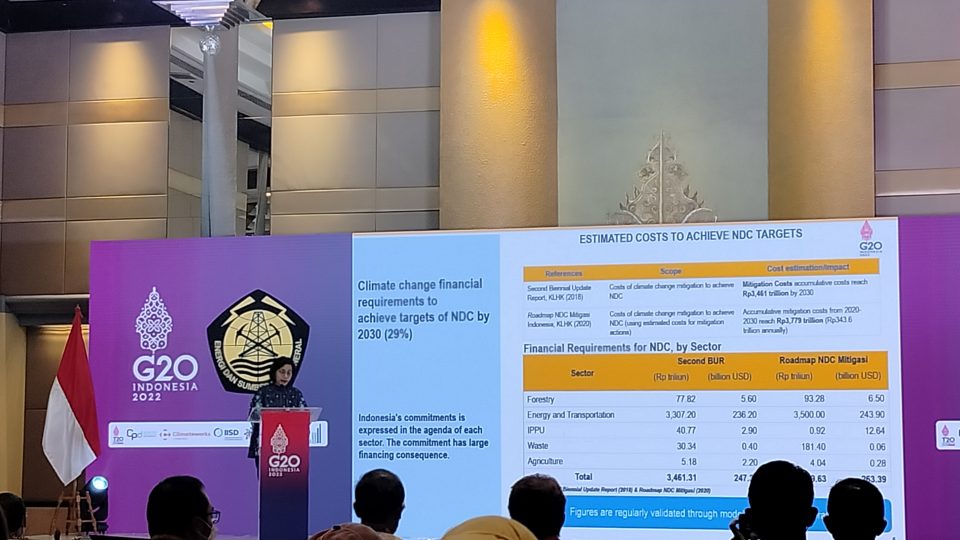 Menteri Keuangan Belum Bisa Pastikan Penerapan Carbon Trade dan Carbon Tax